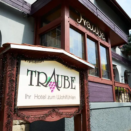 فندق Traube
