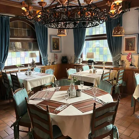 Hotel Landhotel Traube 4*