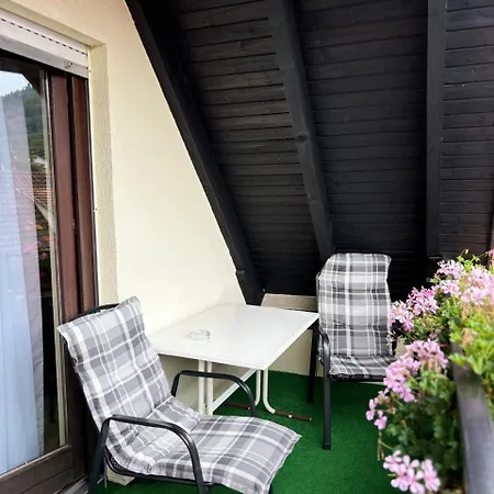 Hotel Landhotel Traube 4*