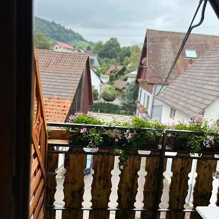 Landhotel Traube Hotel