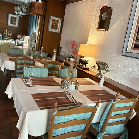 Landhotel Traube Hotel 4*