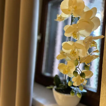 Landhotel Traube Hotel Baden-Baden