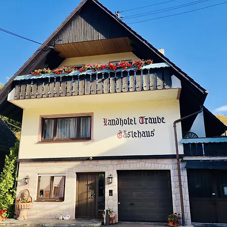 Landhotel Traube Hotel