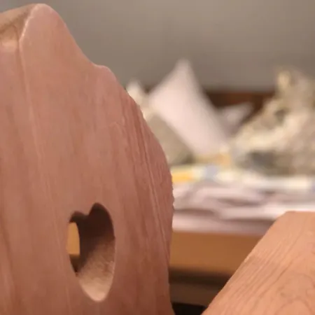 Landhotel Traube Hotel