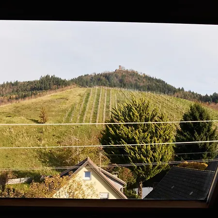 Traube Hotell 4*