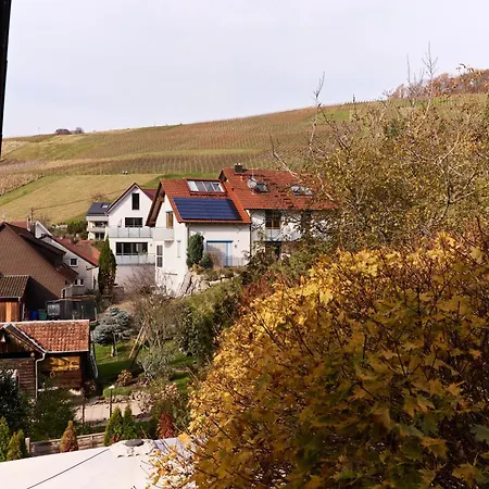 Traube Baden-Baden