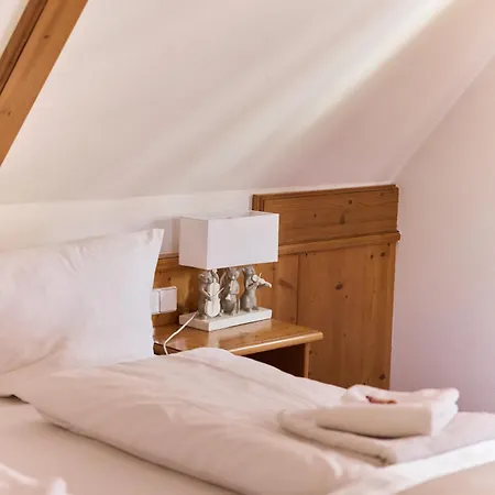 Traube Hotell 4*