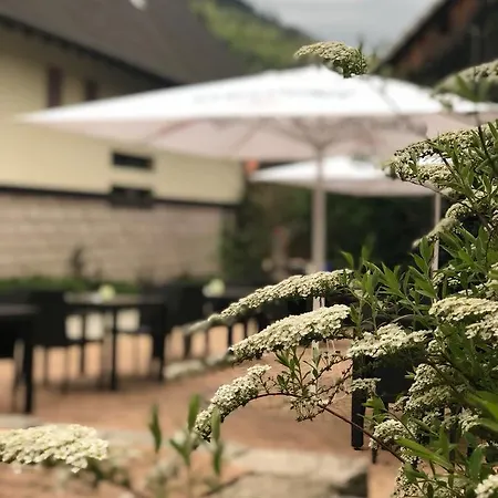 Landhotel Traube Hotel Baden-Baden