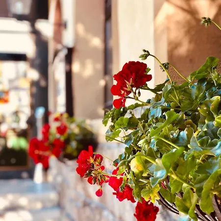 Landhotel Traube 4* Baden-Baden